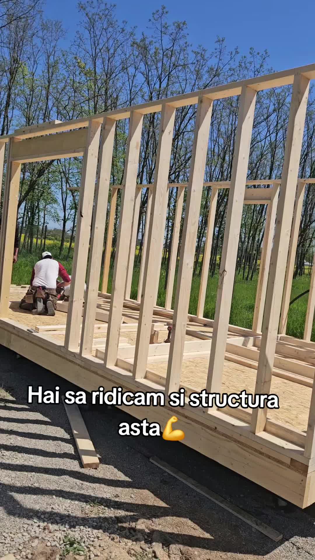 @Fratii Rumegus