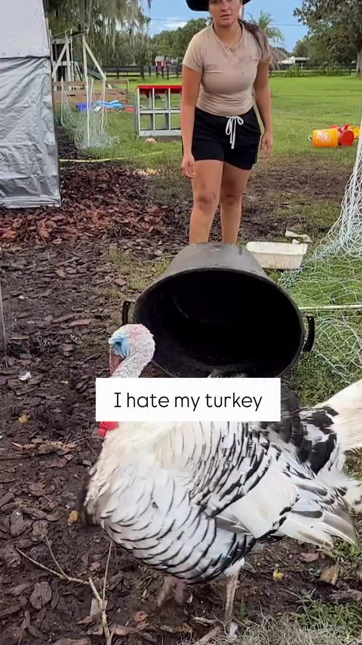 @Talita