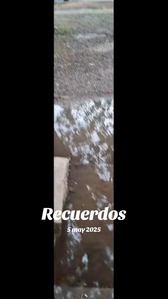 @Saida Mejia