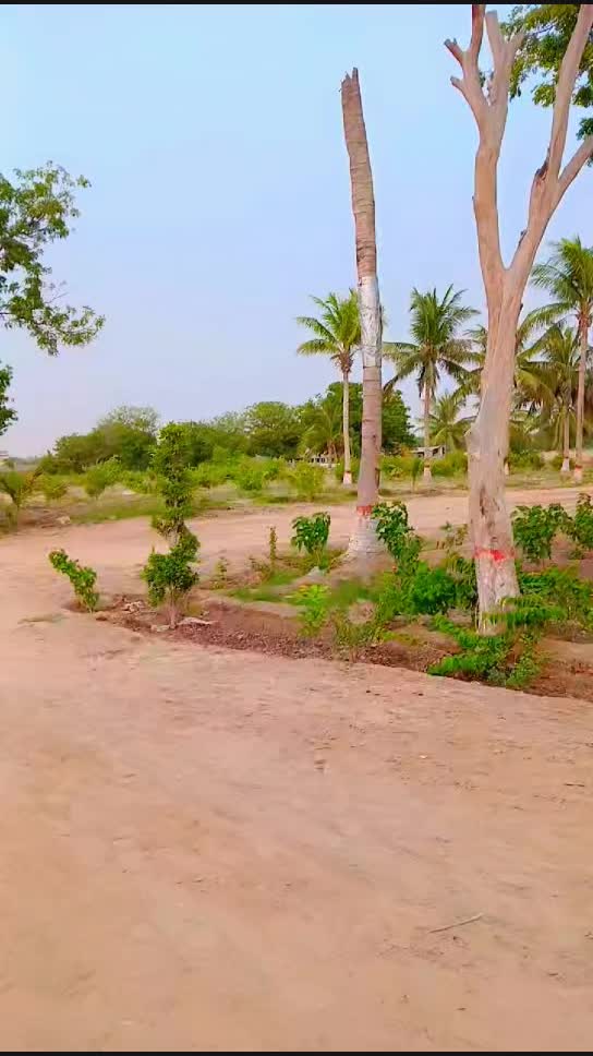 @M hassan  786