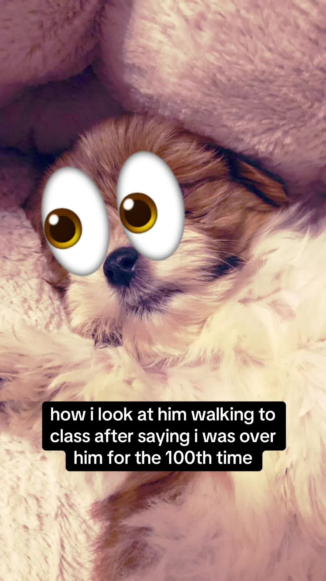 @i love my dog