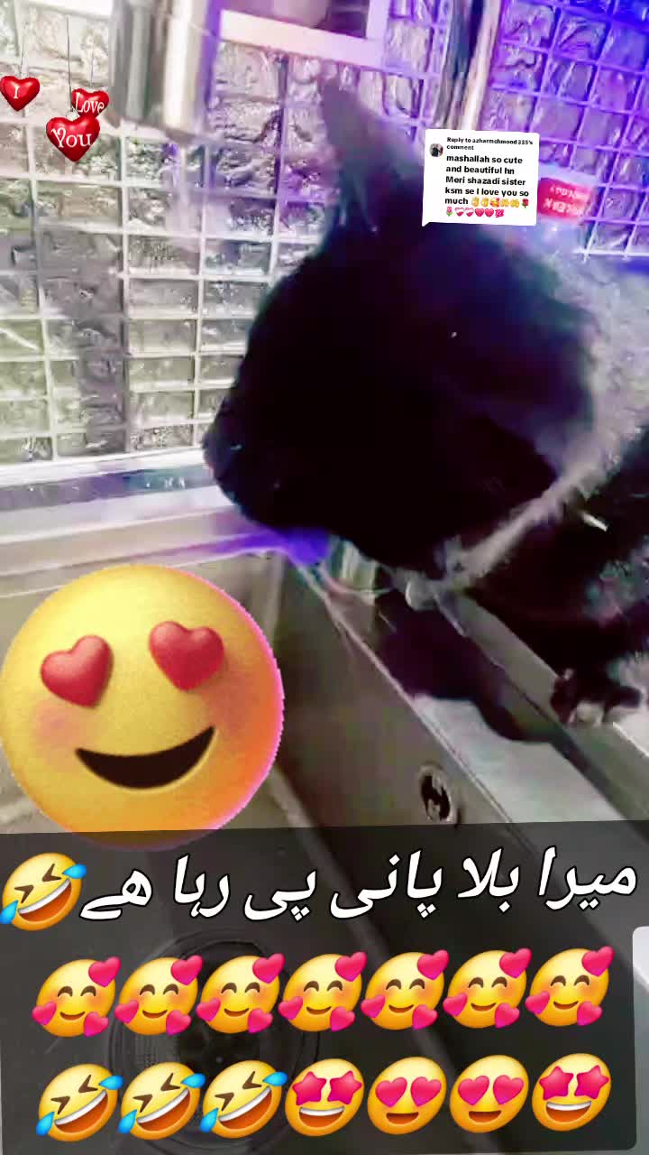 @Zubi🙋♀️زوبی
