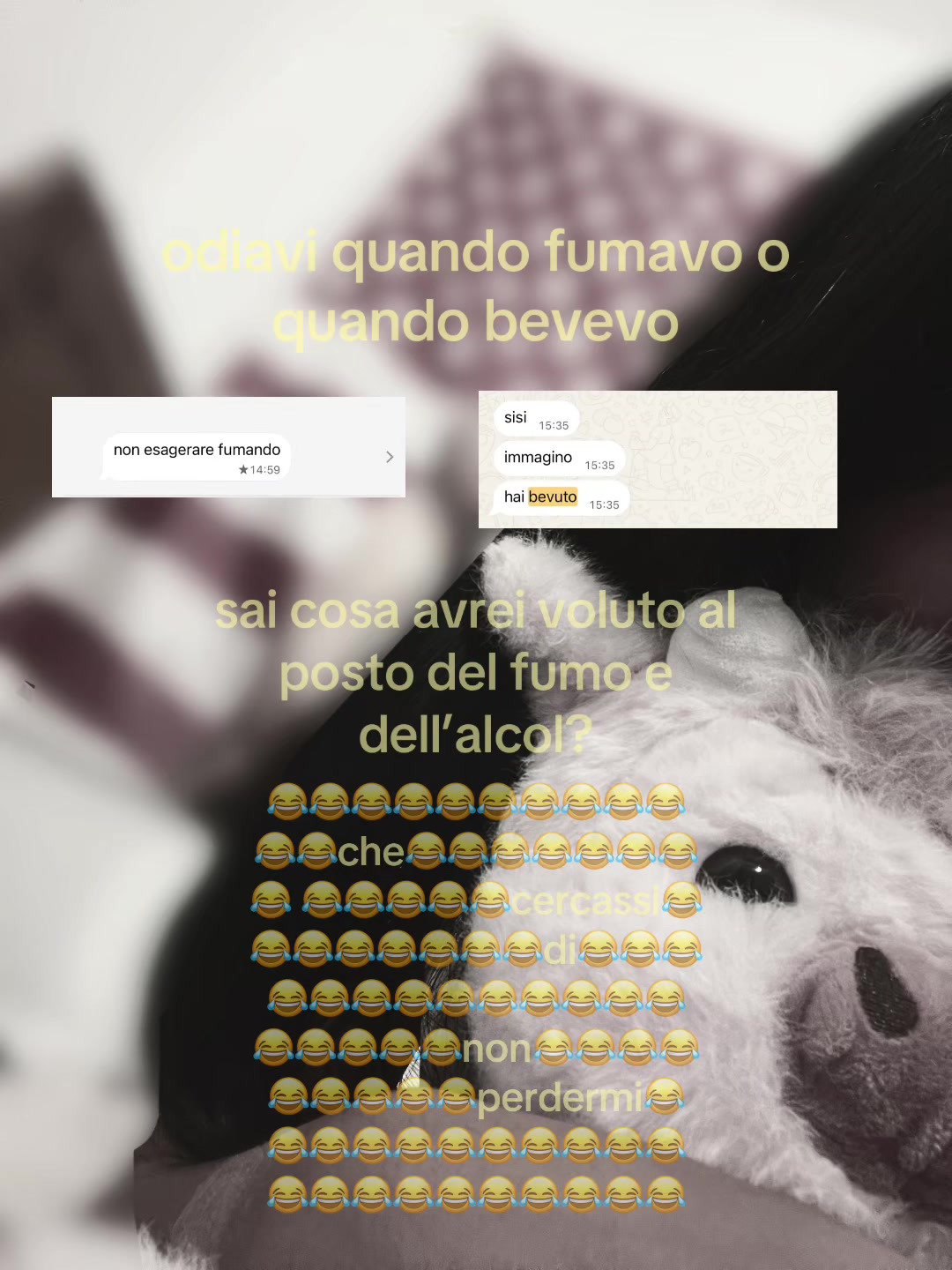 @account_segreto