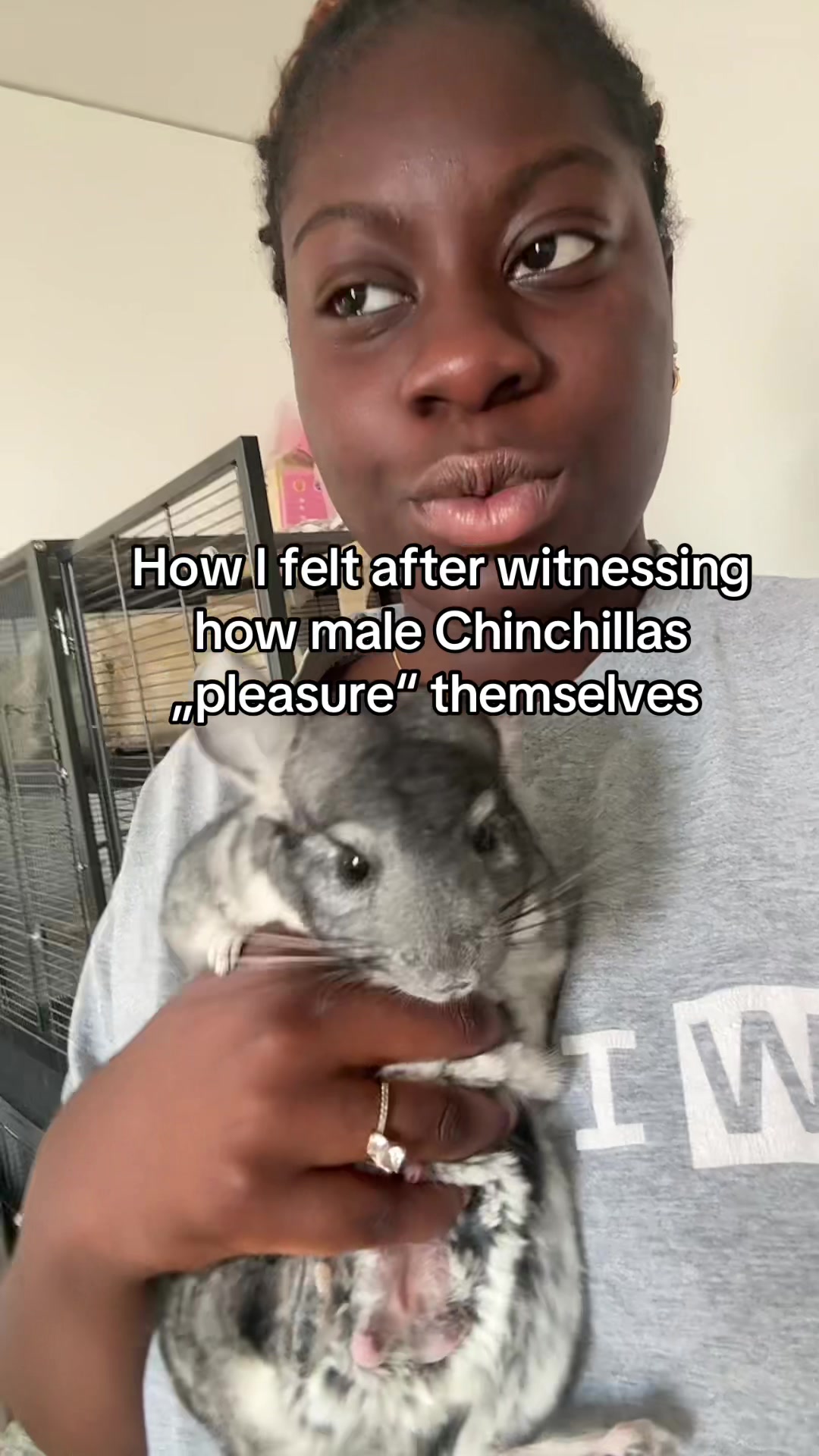 @BANDIT & STRIPE