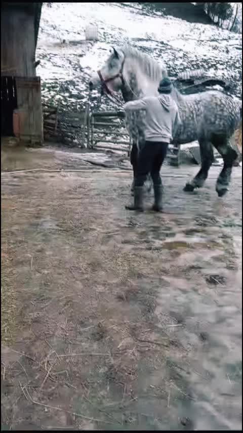 @Hutu Gabriel