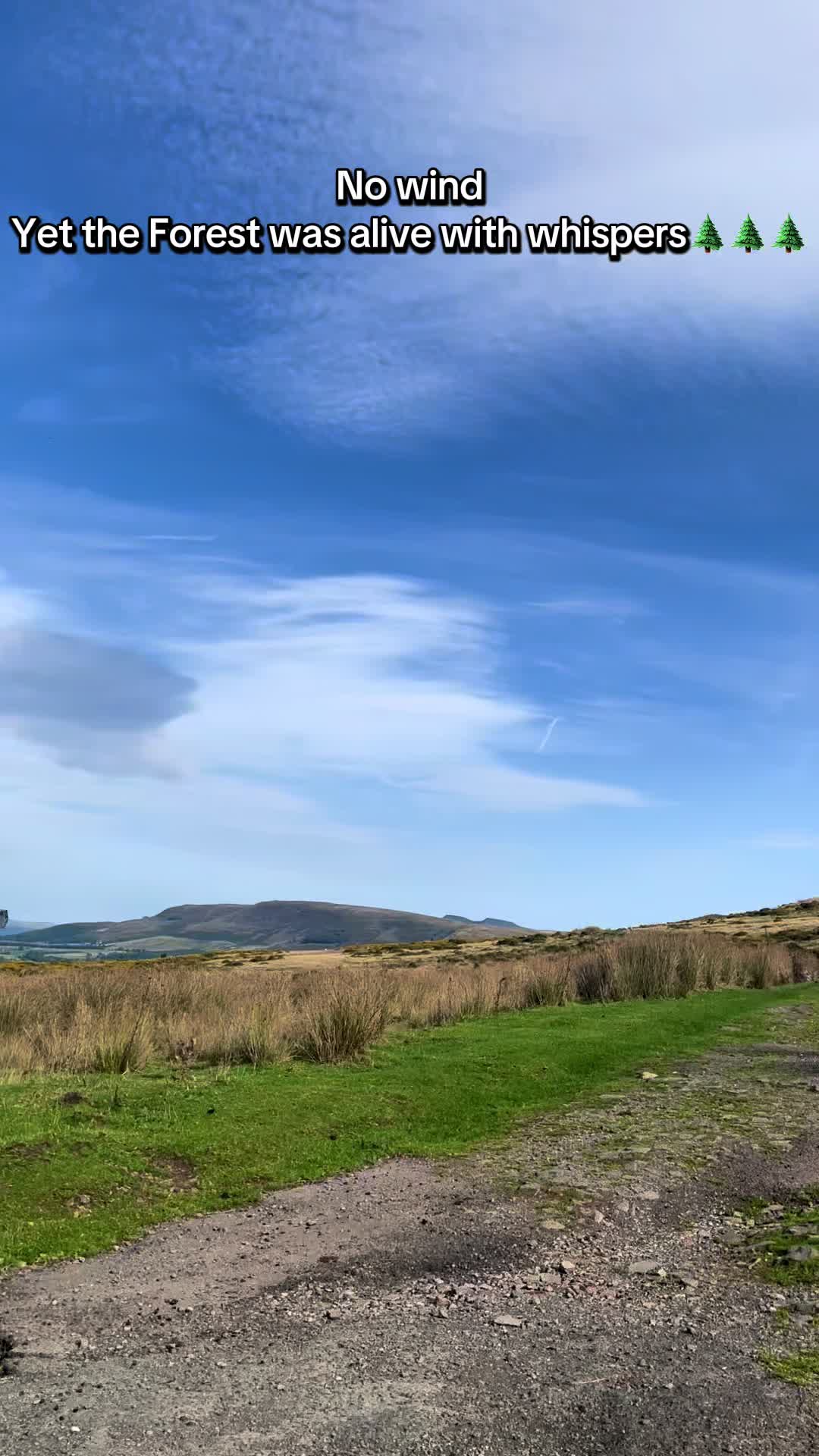 @LucyLu🏴💜🥾