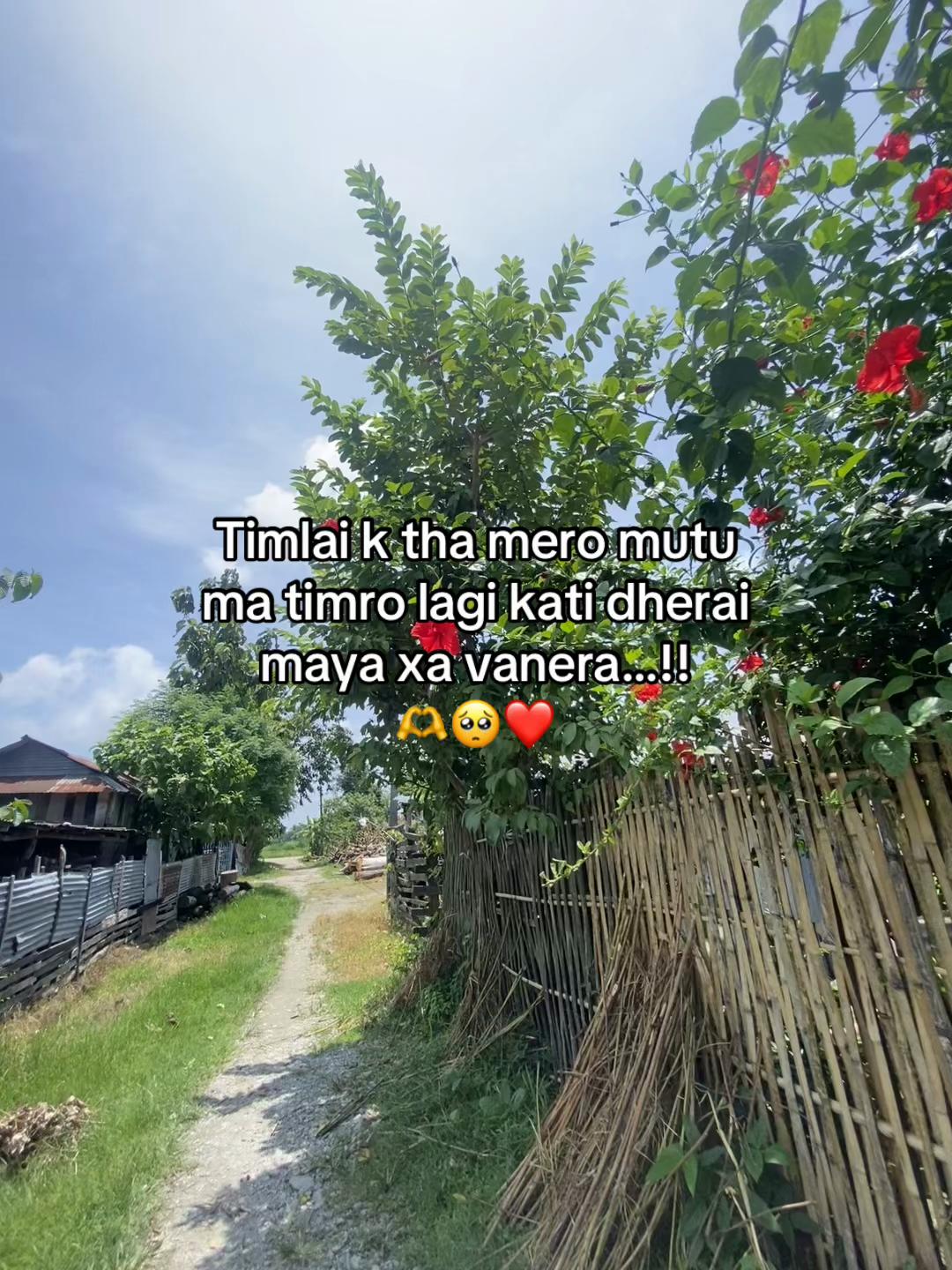 @Chanchaleey Nischal