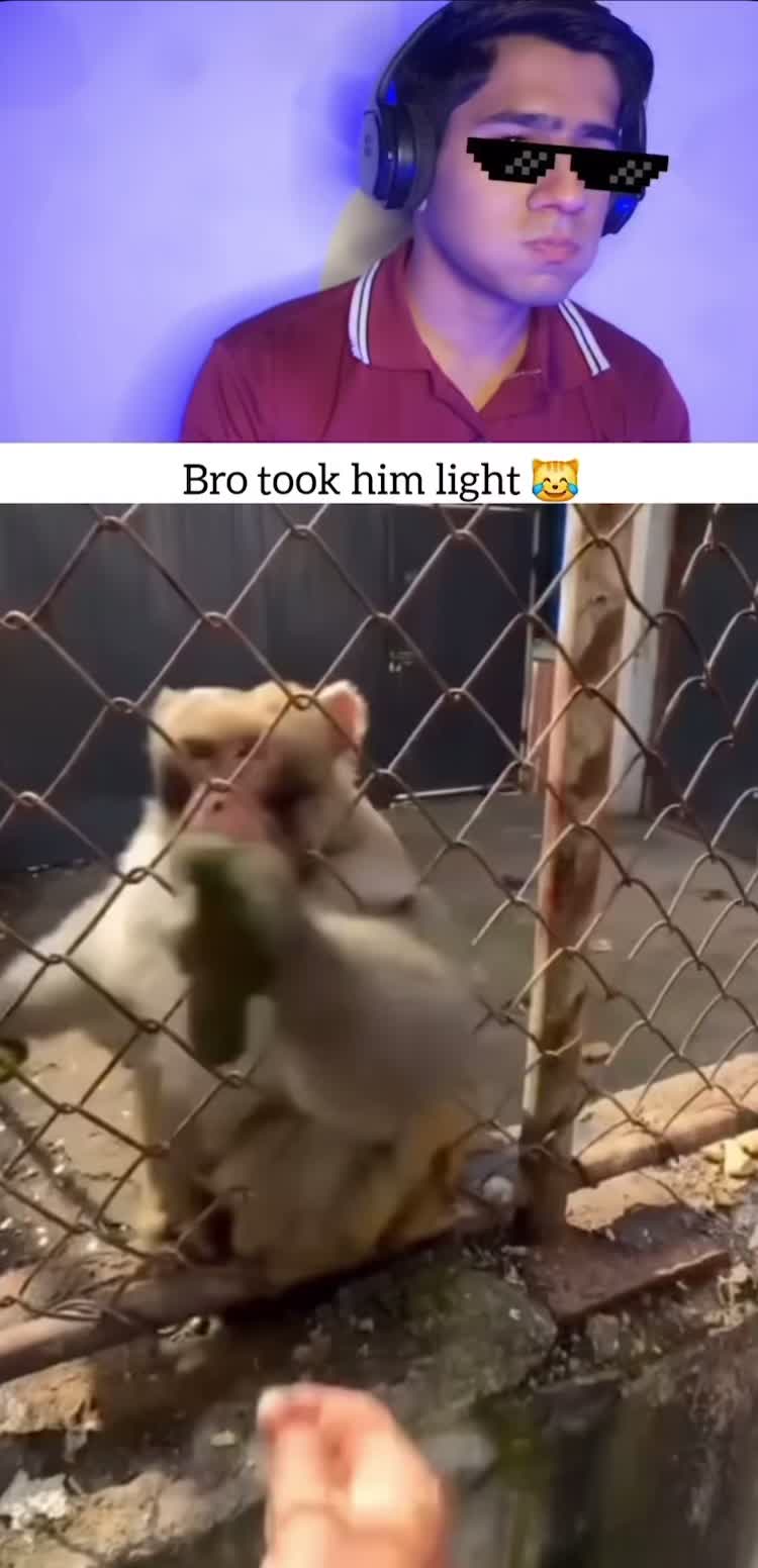 @kingmeme