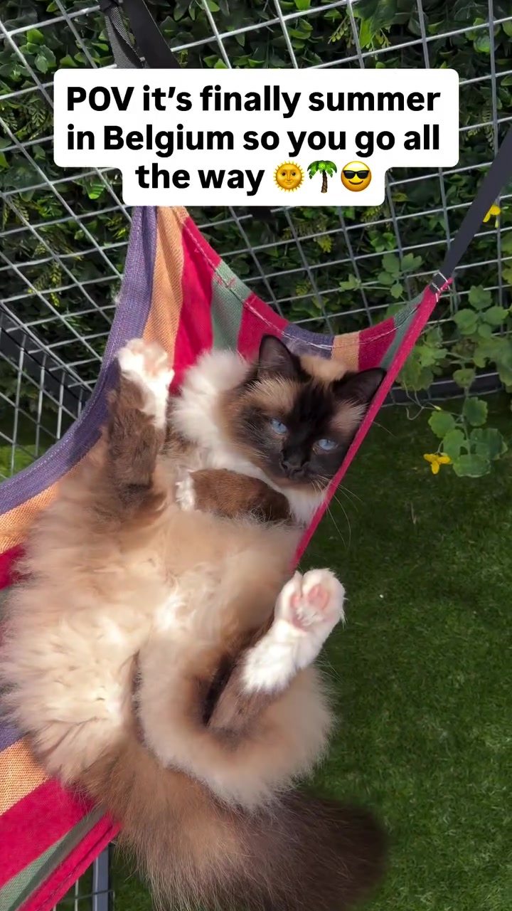 @Henk&Ollie 😺