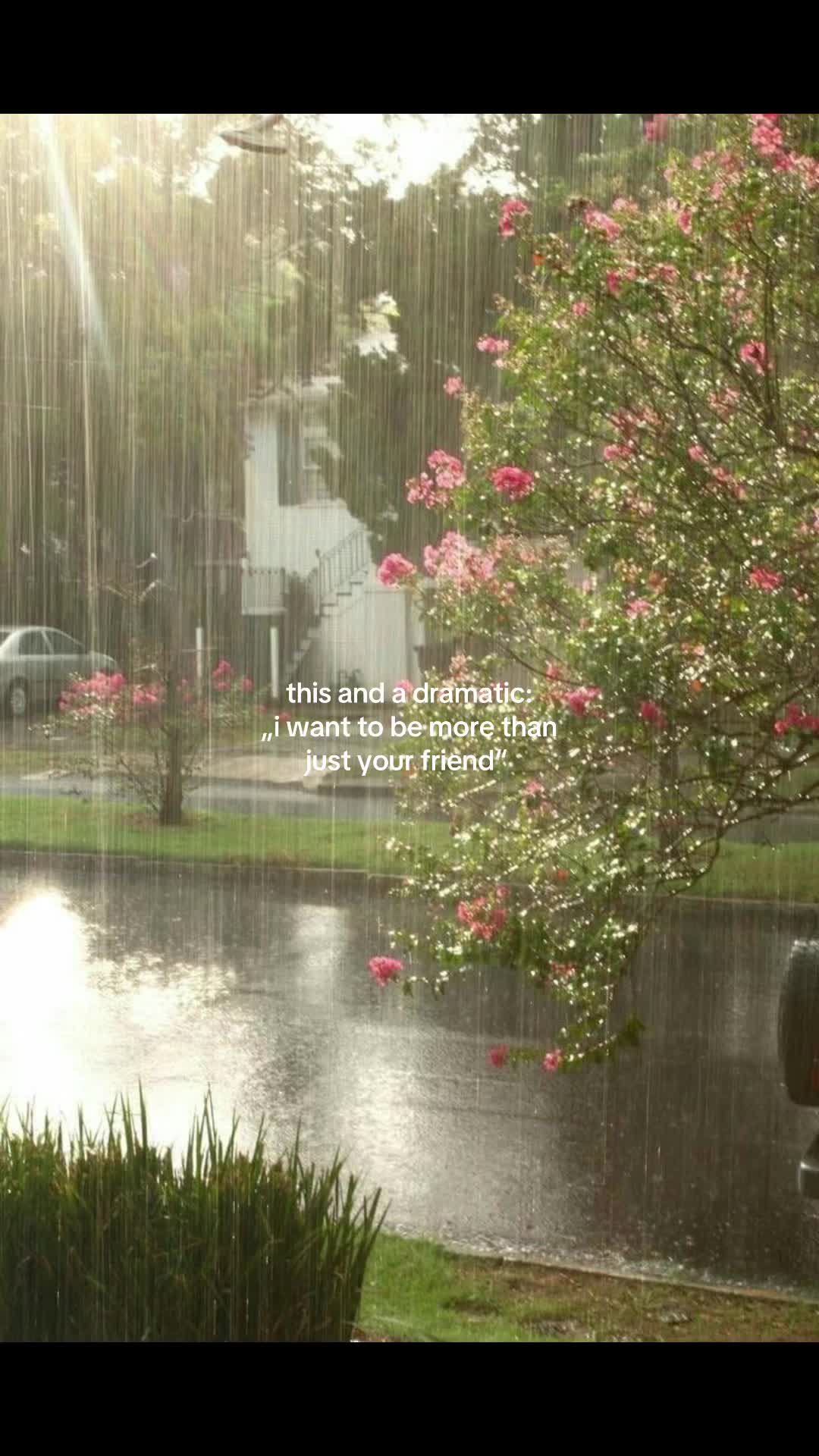 @ɭ๏ยเร