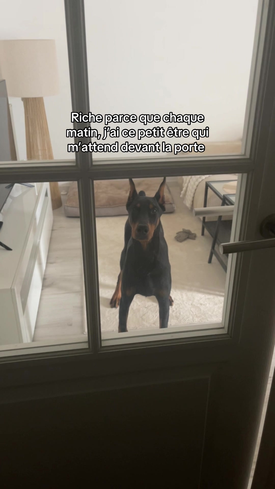 @Ar&egrave;s 🐶