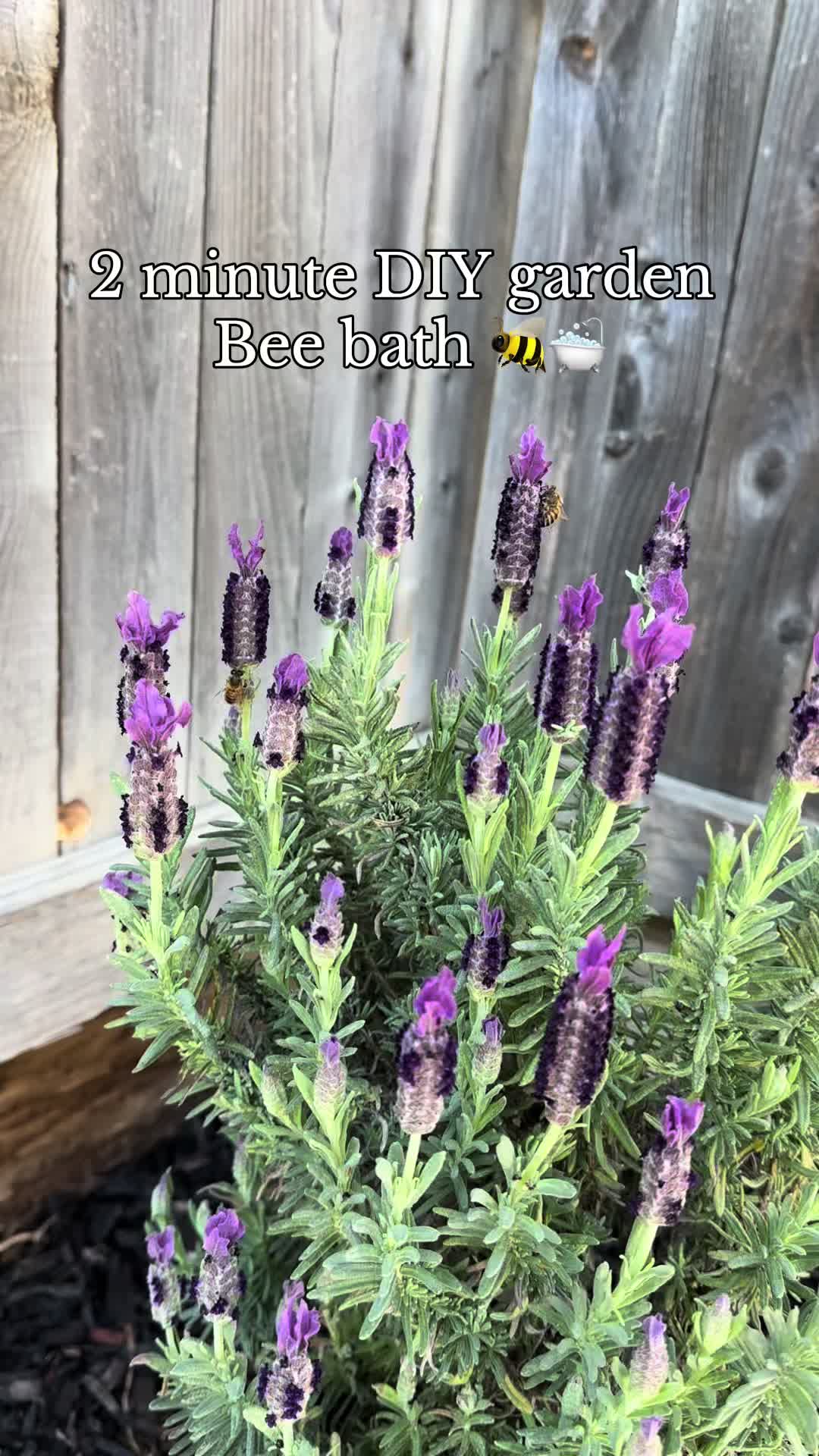 @plantingwithe