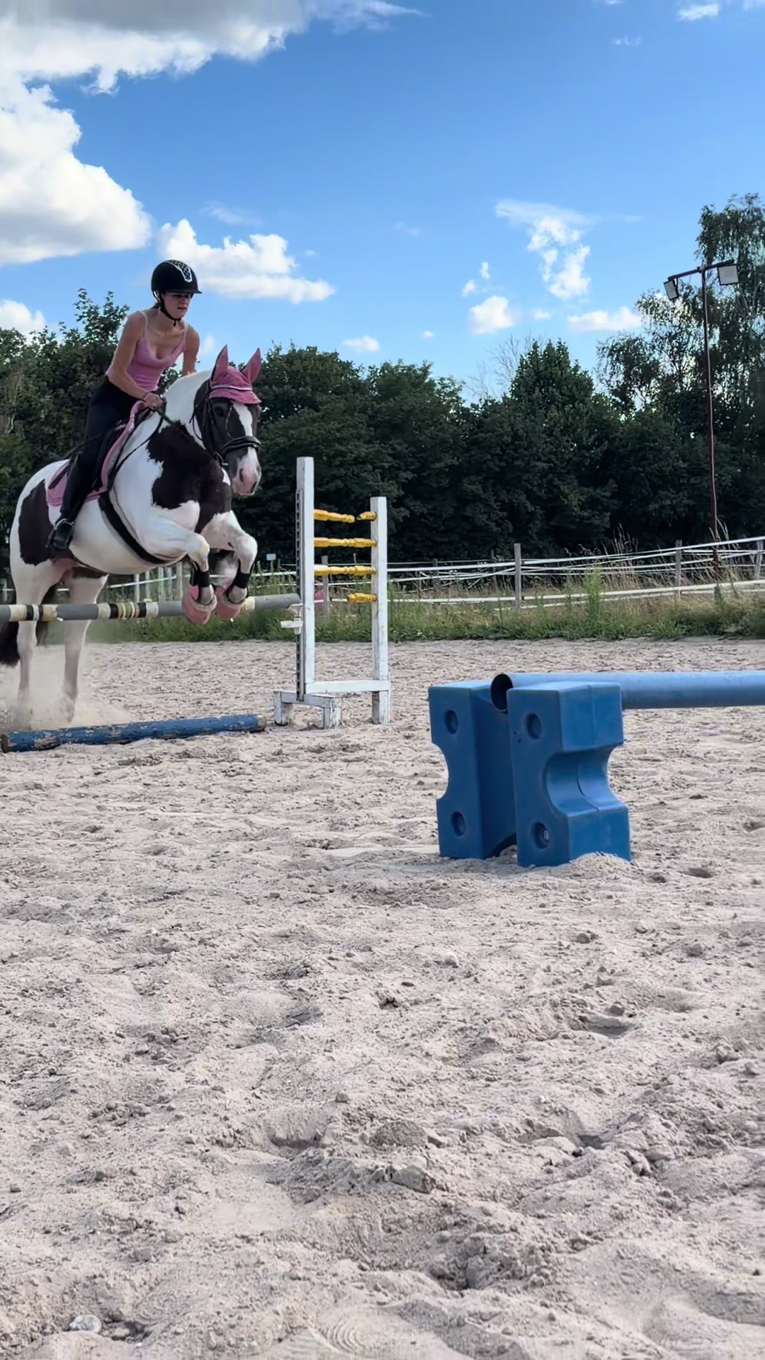 @🦄