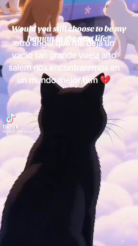 @Vero Jimenez Ferrer