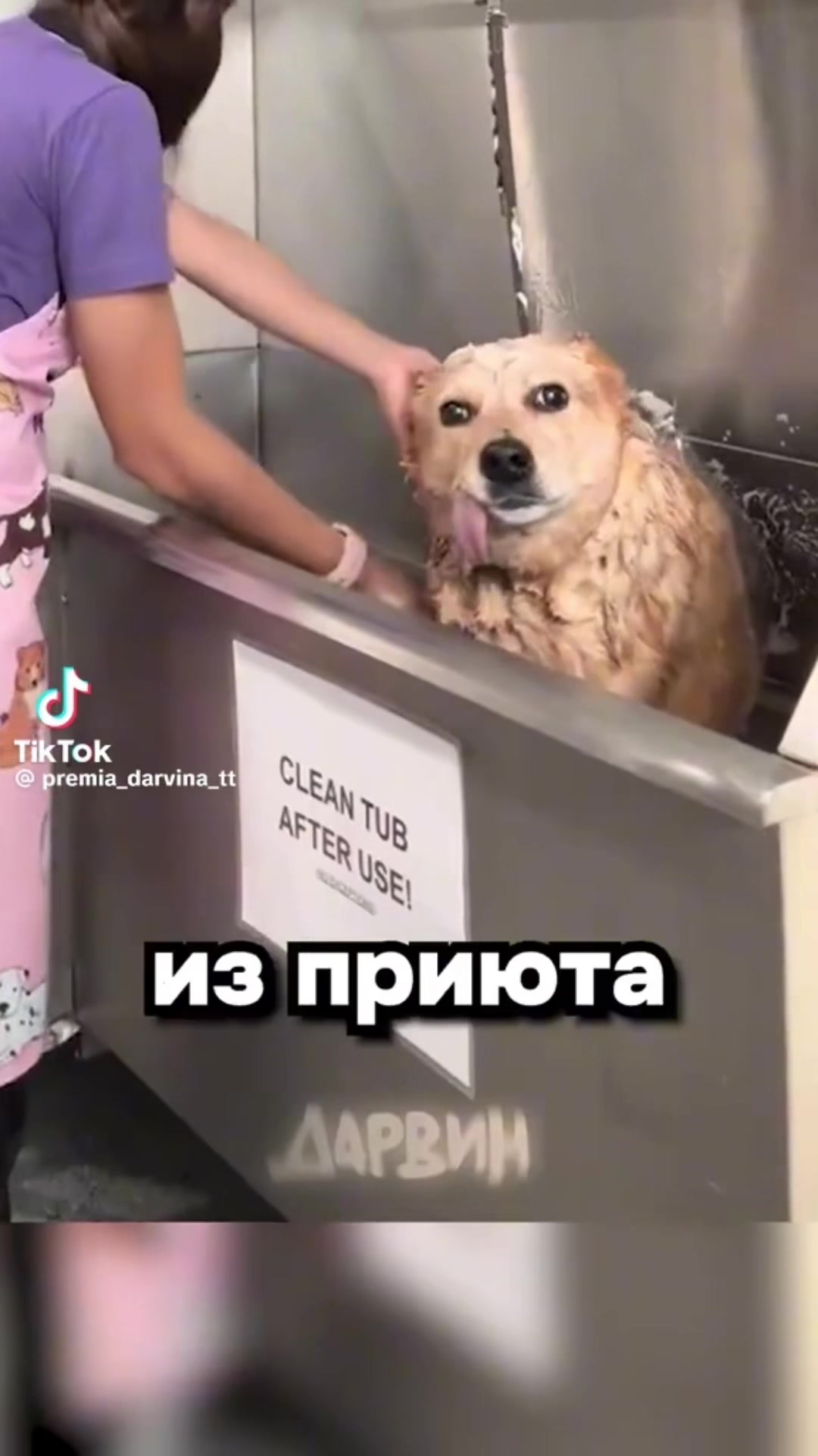 @Просто доллар/RaDaR