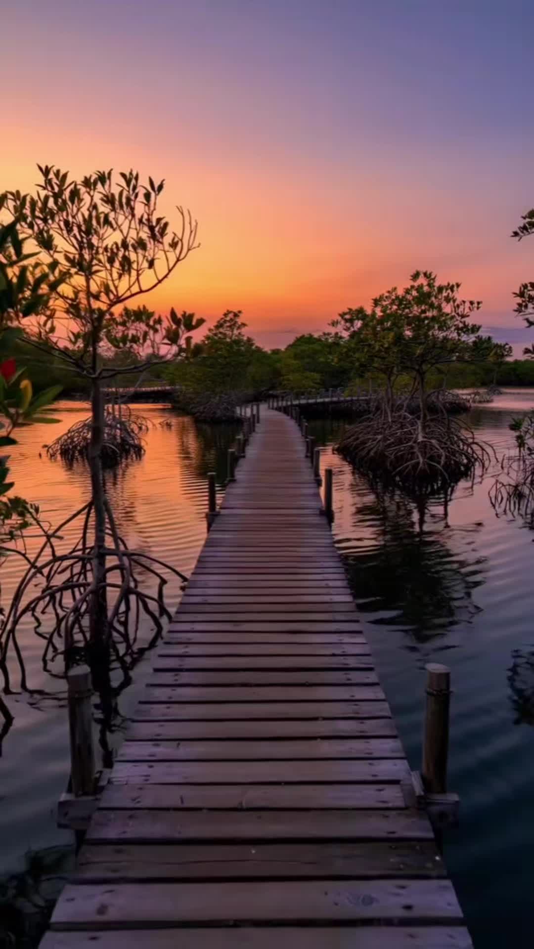 @Najat 8888