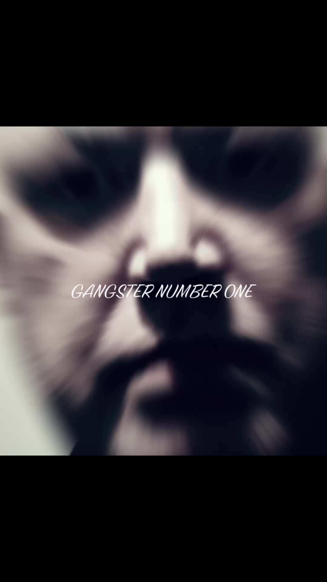 @GANGSTER NUMBER ONE🌏