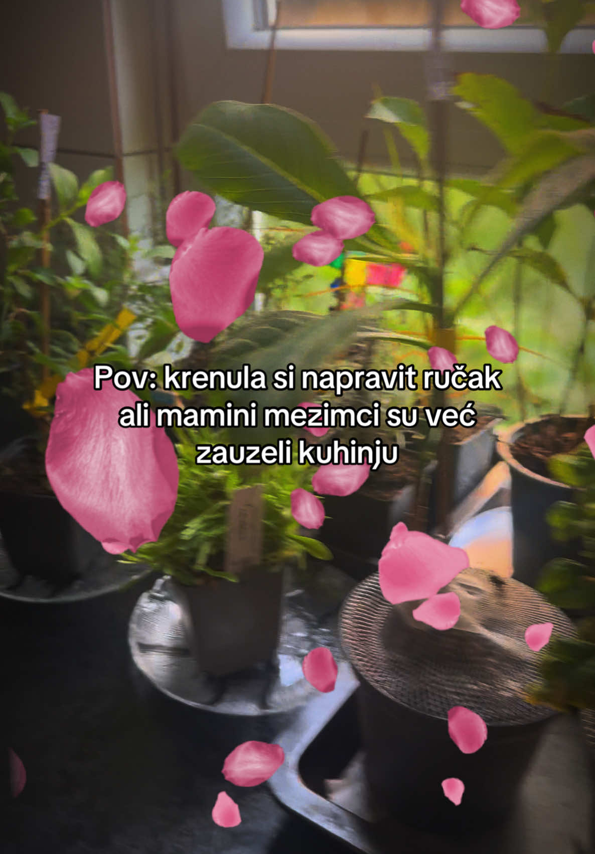 @Ana i Marija
