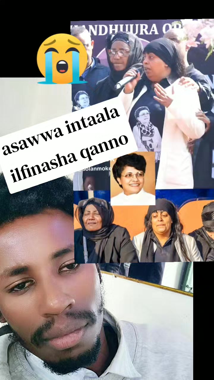 @Gemta