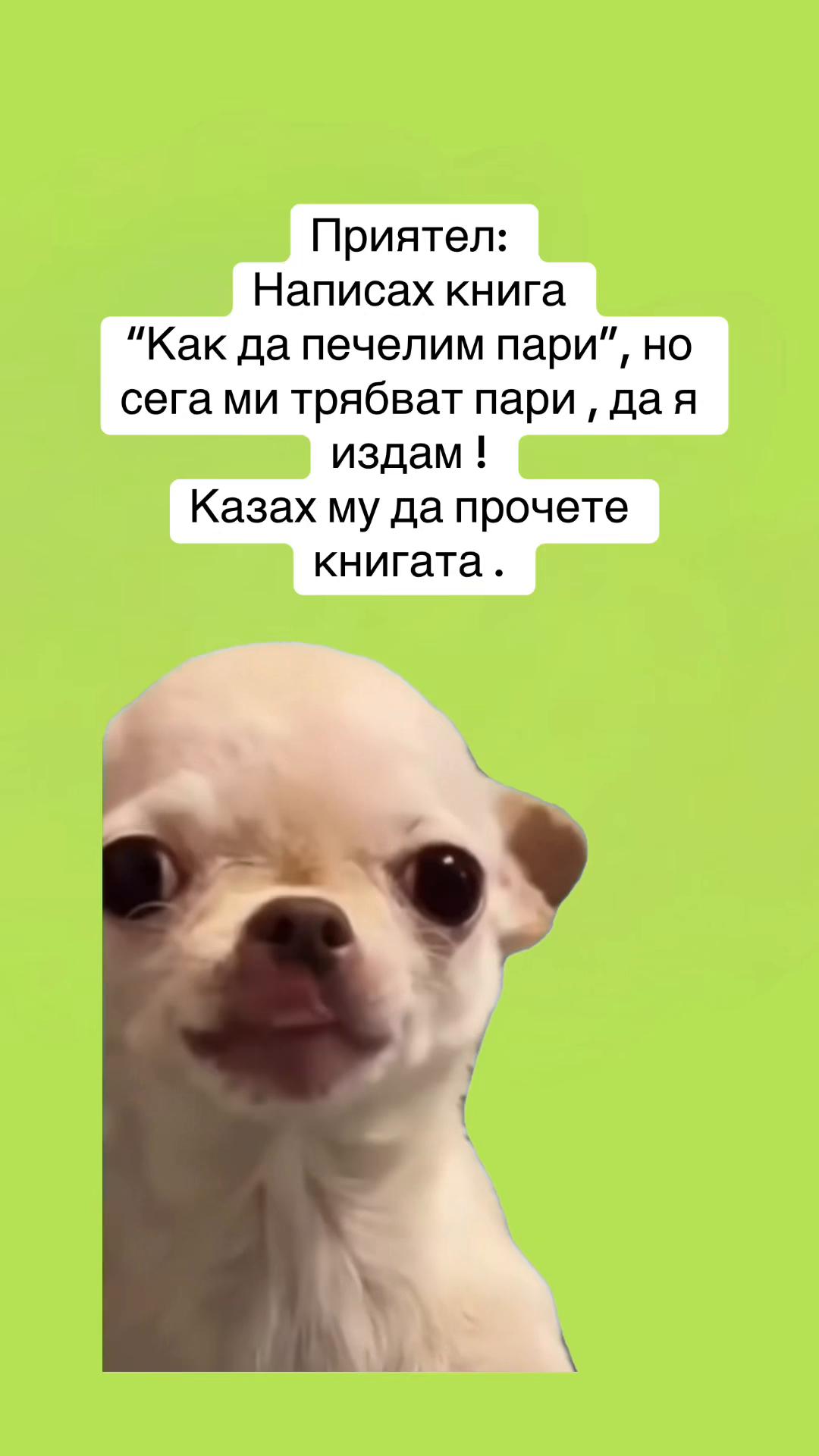 @Павлина Куцева-Сирак