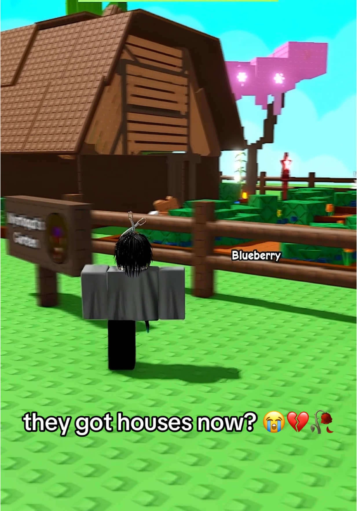 @elegy