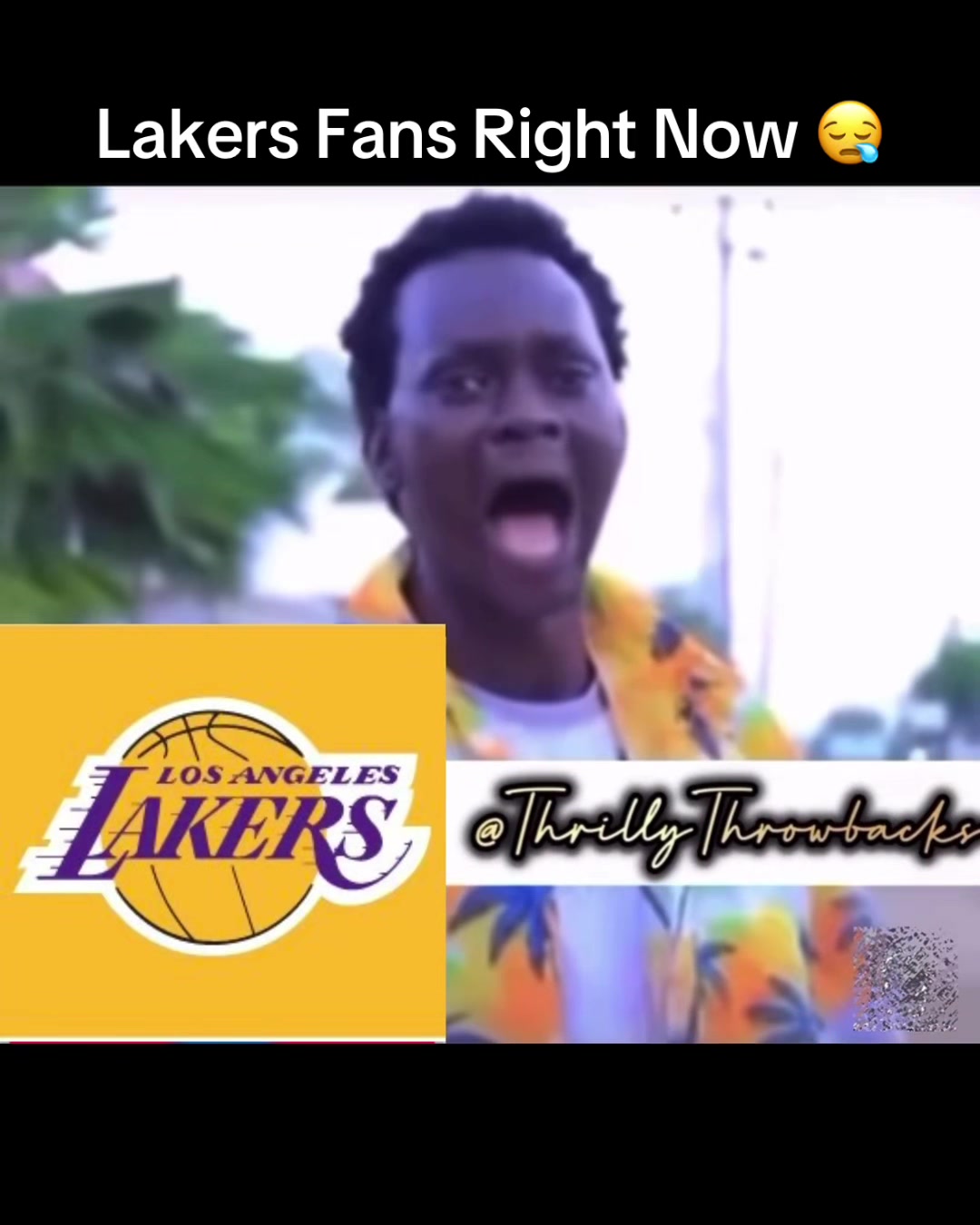 @SirThrowback23