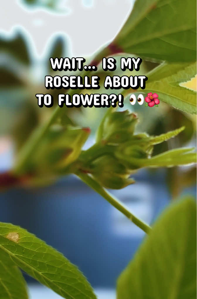 @Jennifer