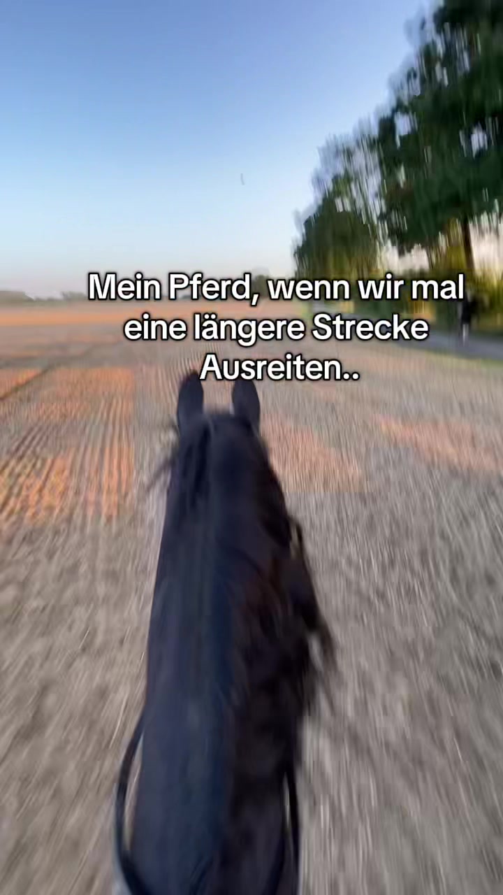 @Sophia🇩🇪