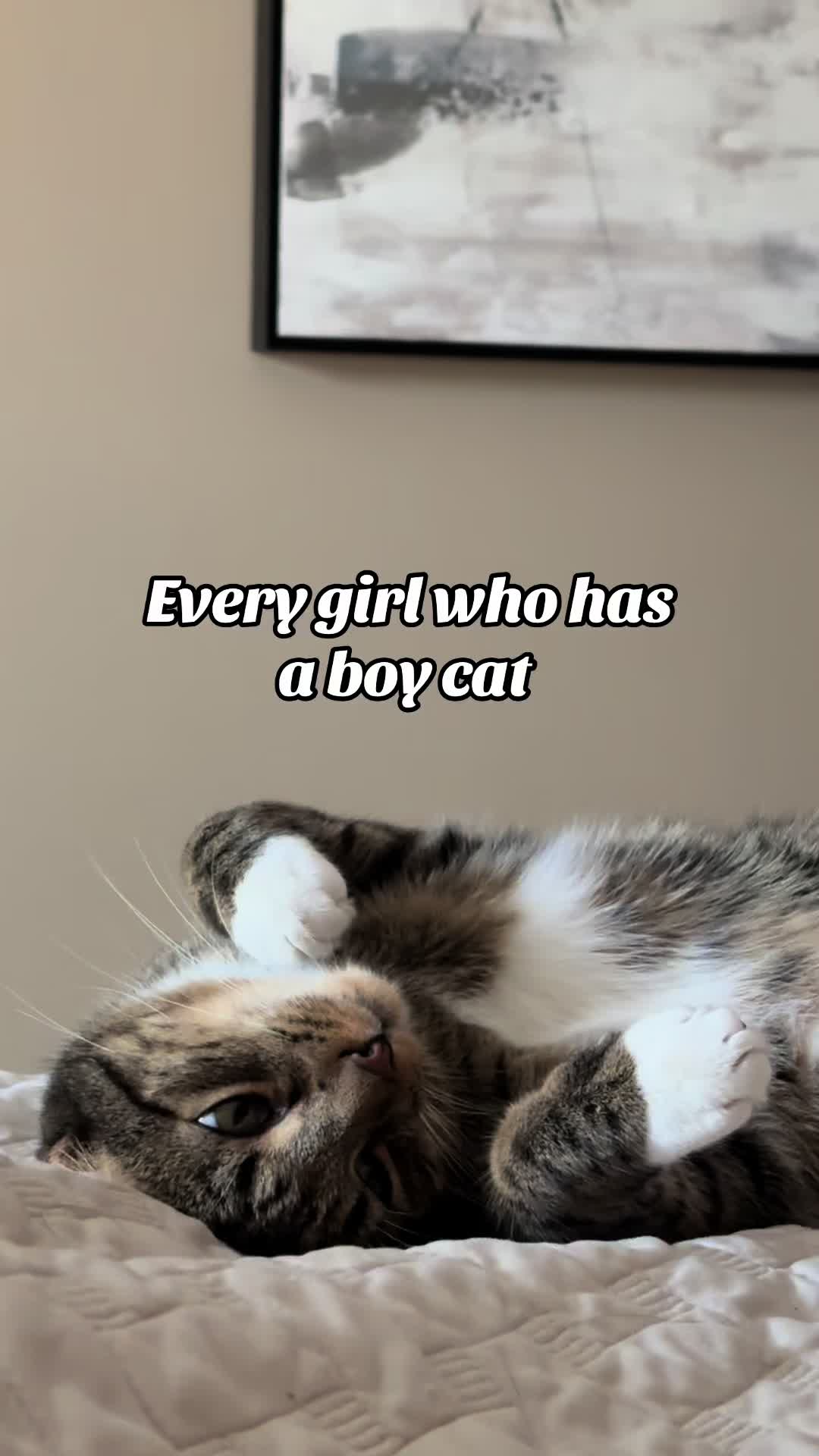 @BrothersINtroubles