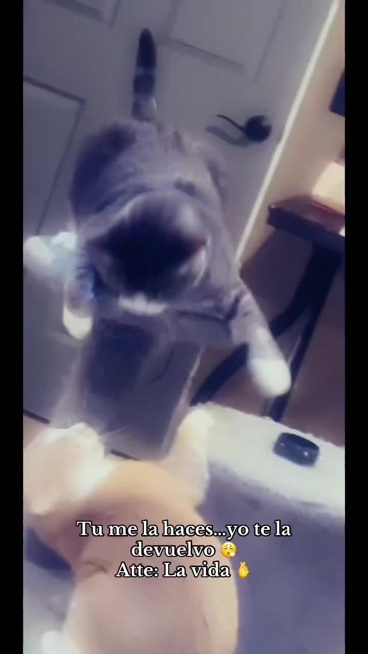 @Vaniii 💞