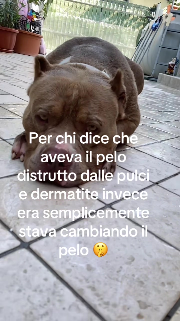 @Thor alessandra Simone