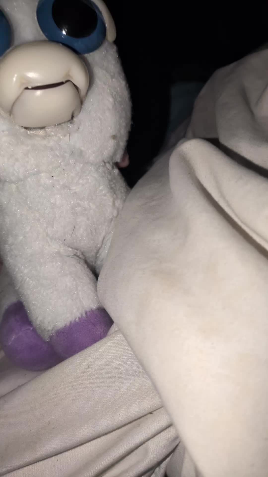 @👑Lalicorneadorable👑