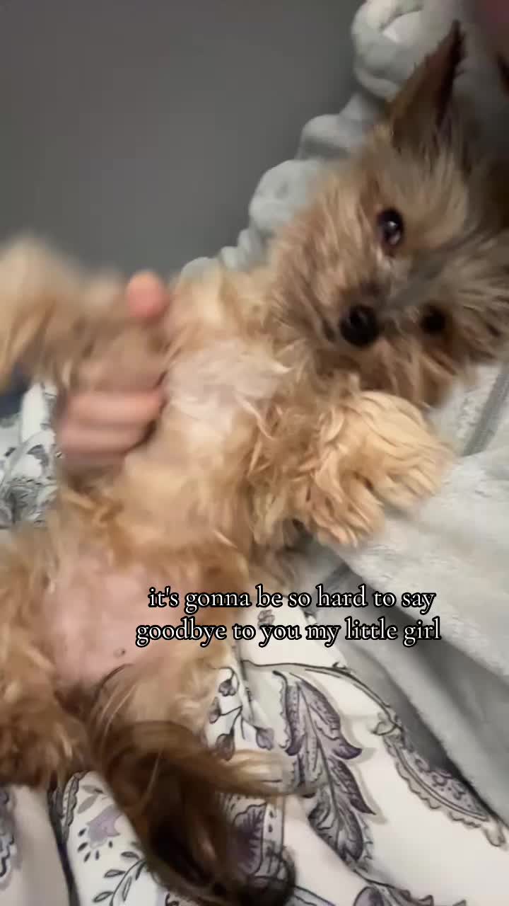 @?¿