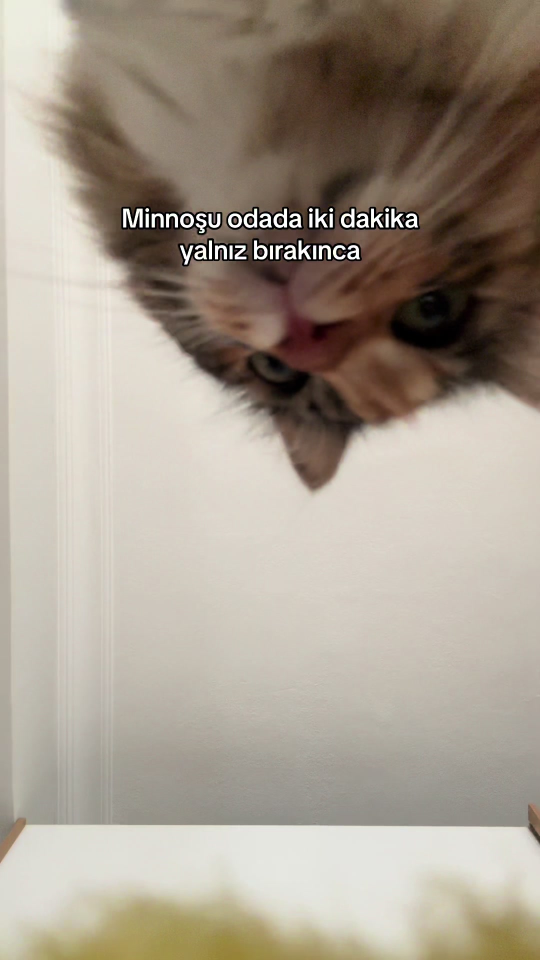 @konusankediminnos