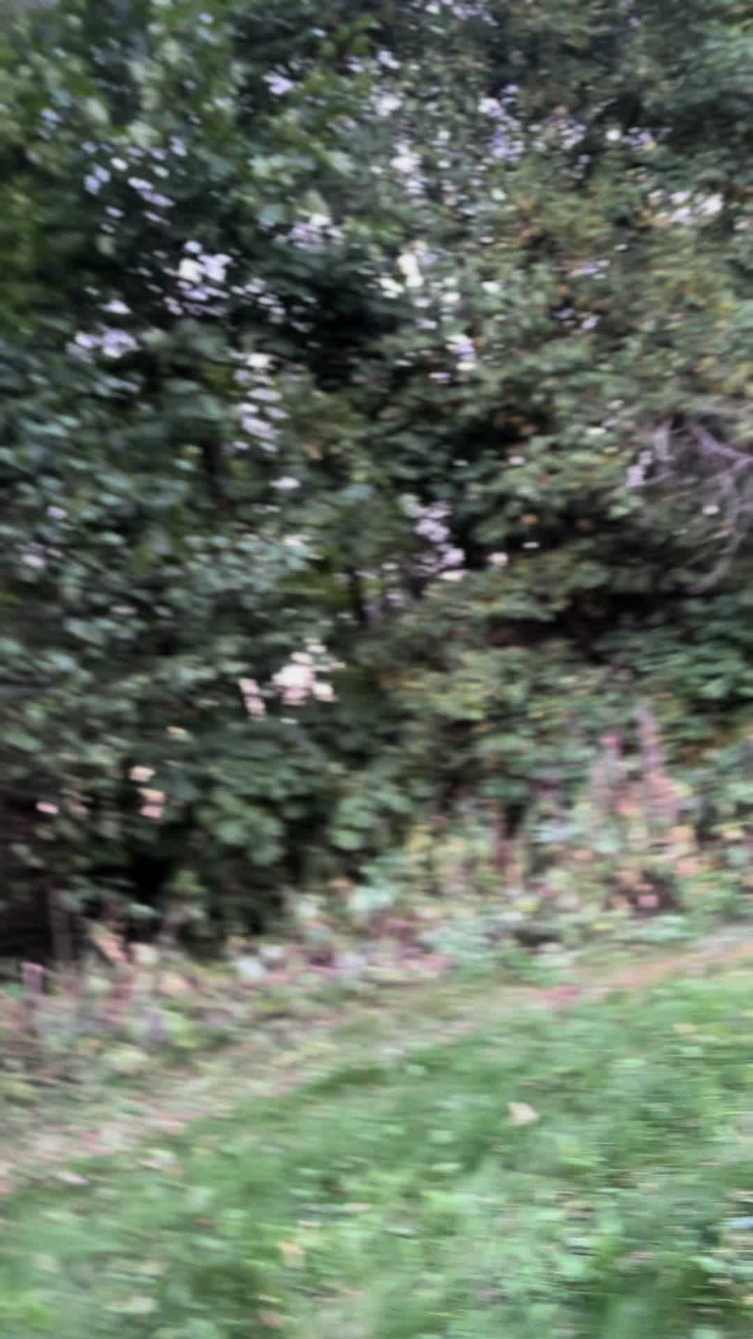 @Henrik