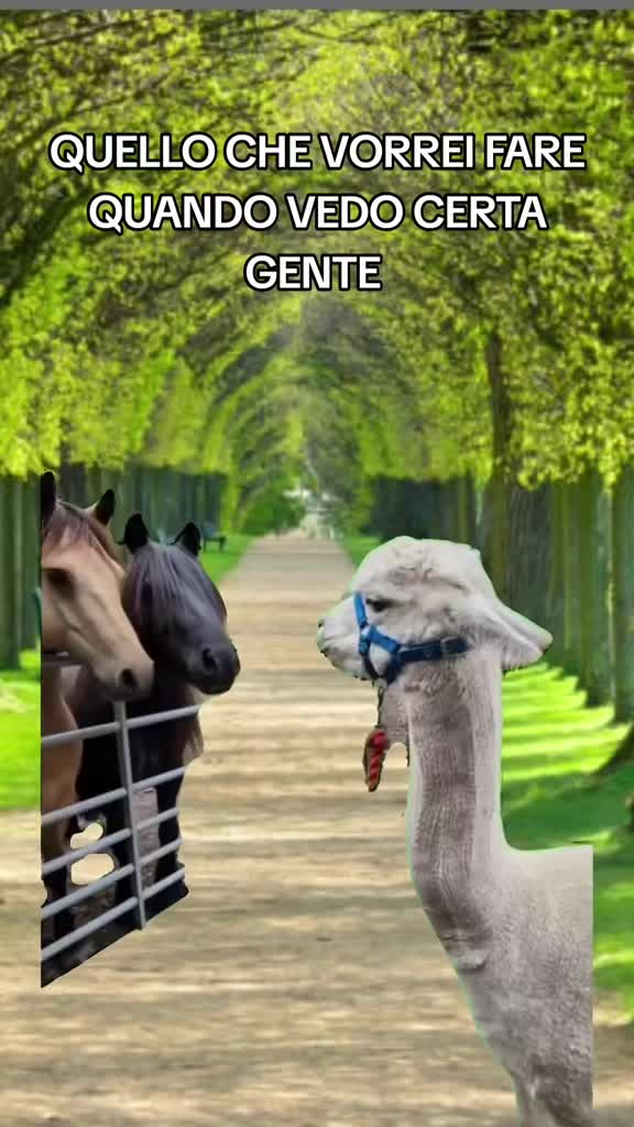 @Stefano Cr80