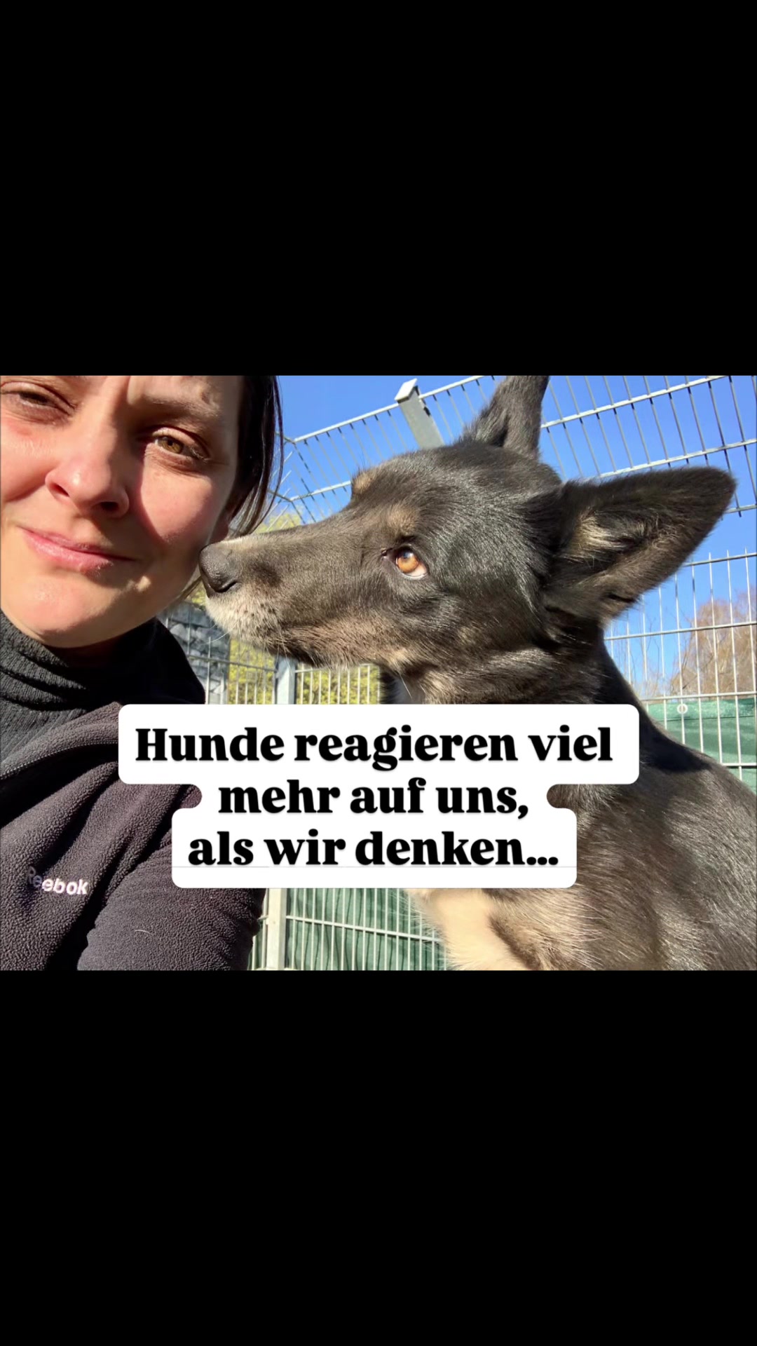 @Mehrere Hunde, ein Team!