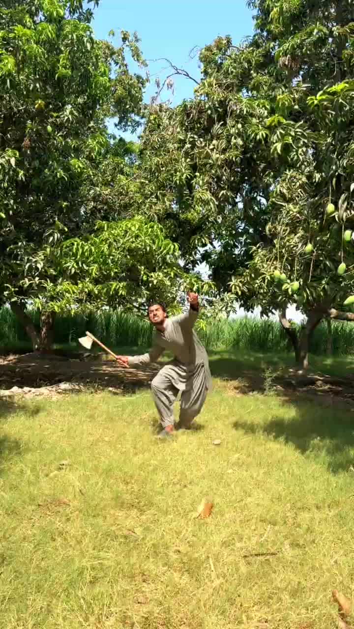 @Team Saifulla