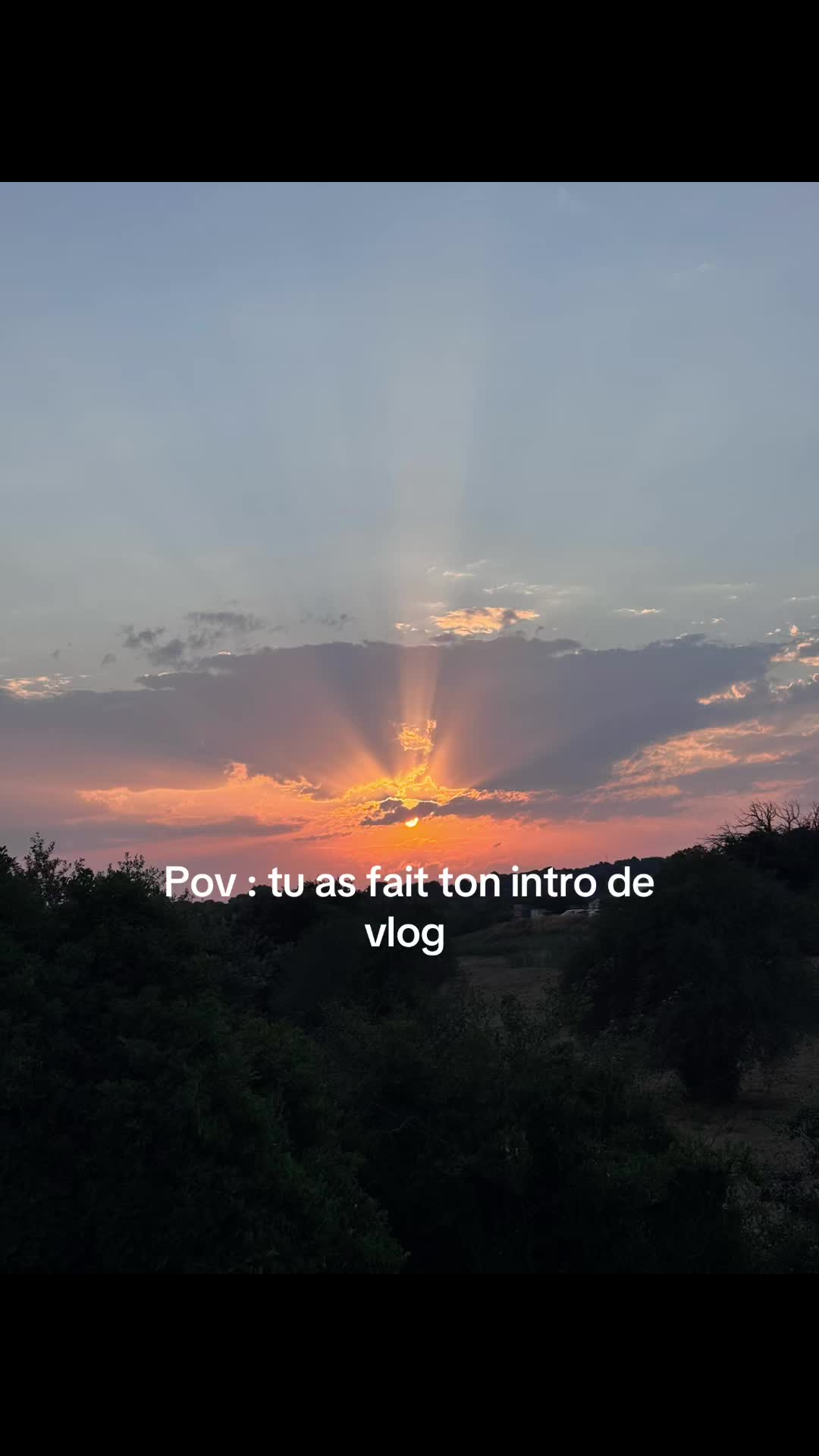 @lisebaguanti