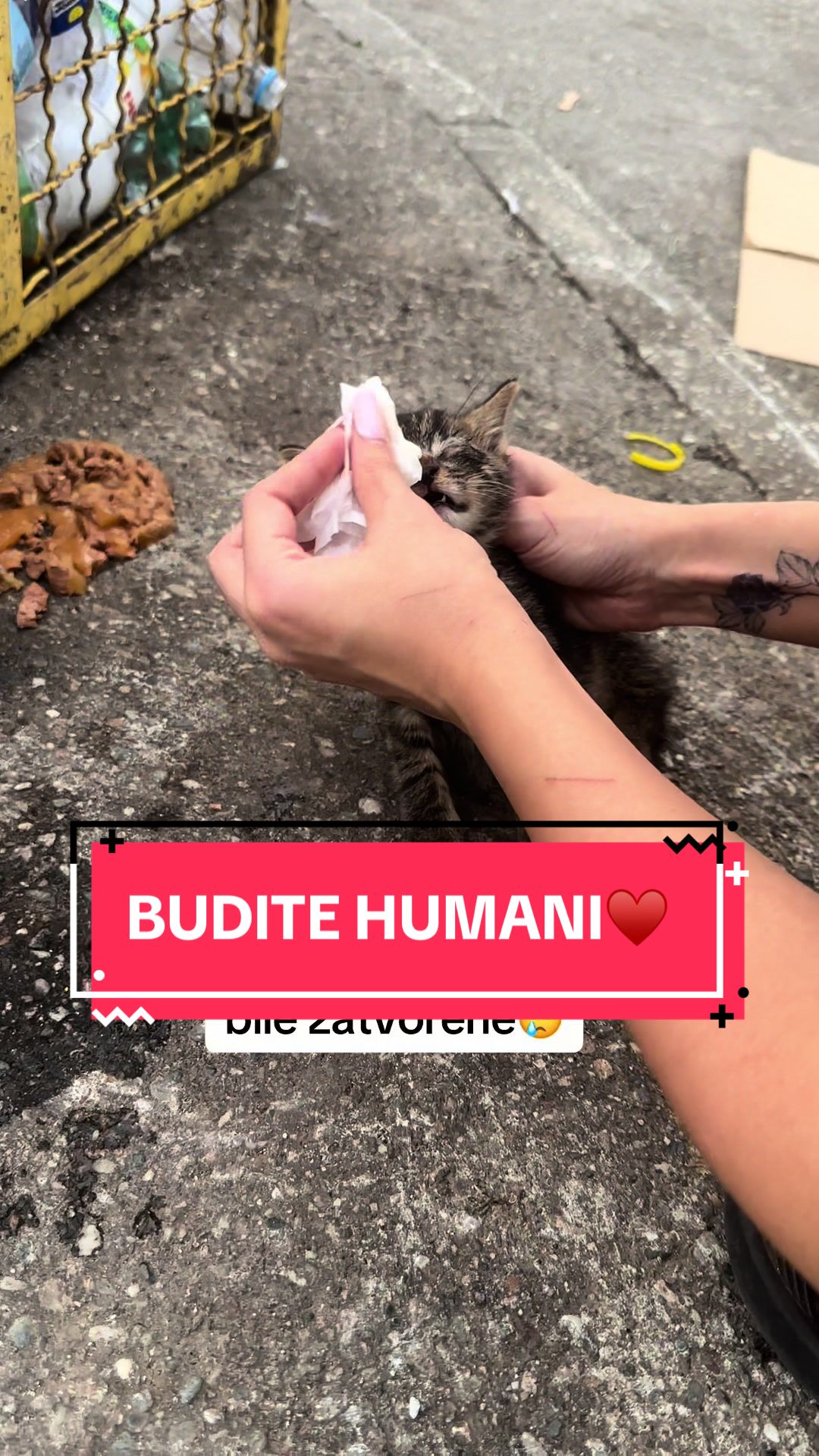 @𝑲𝑹𝑰𝑺.𝑲𝑰𝑷𝑬🐆