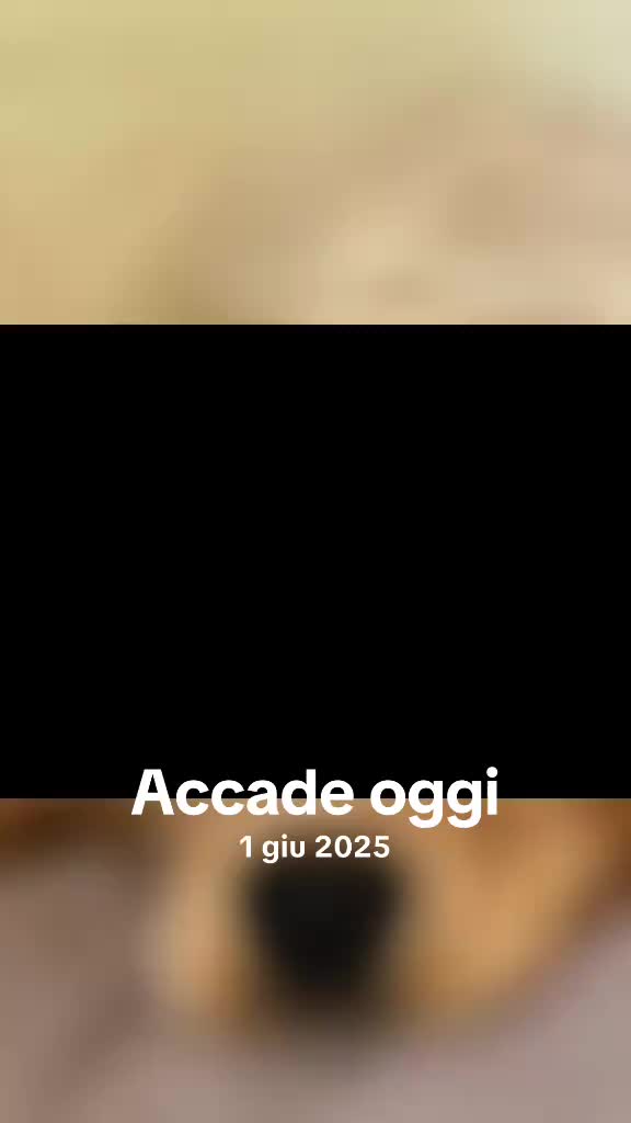 @Roberta Micucci