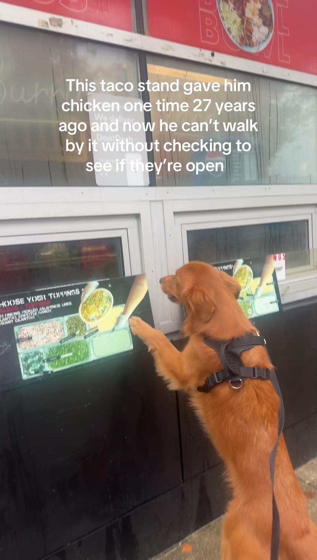 @Buzz