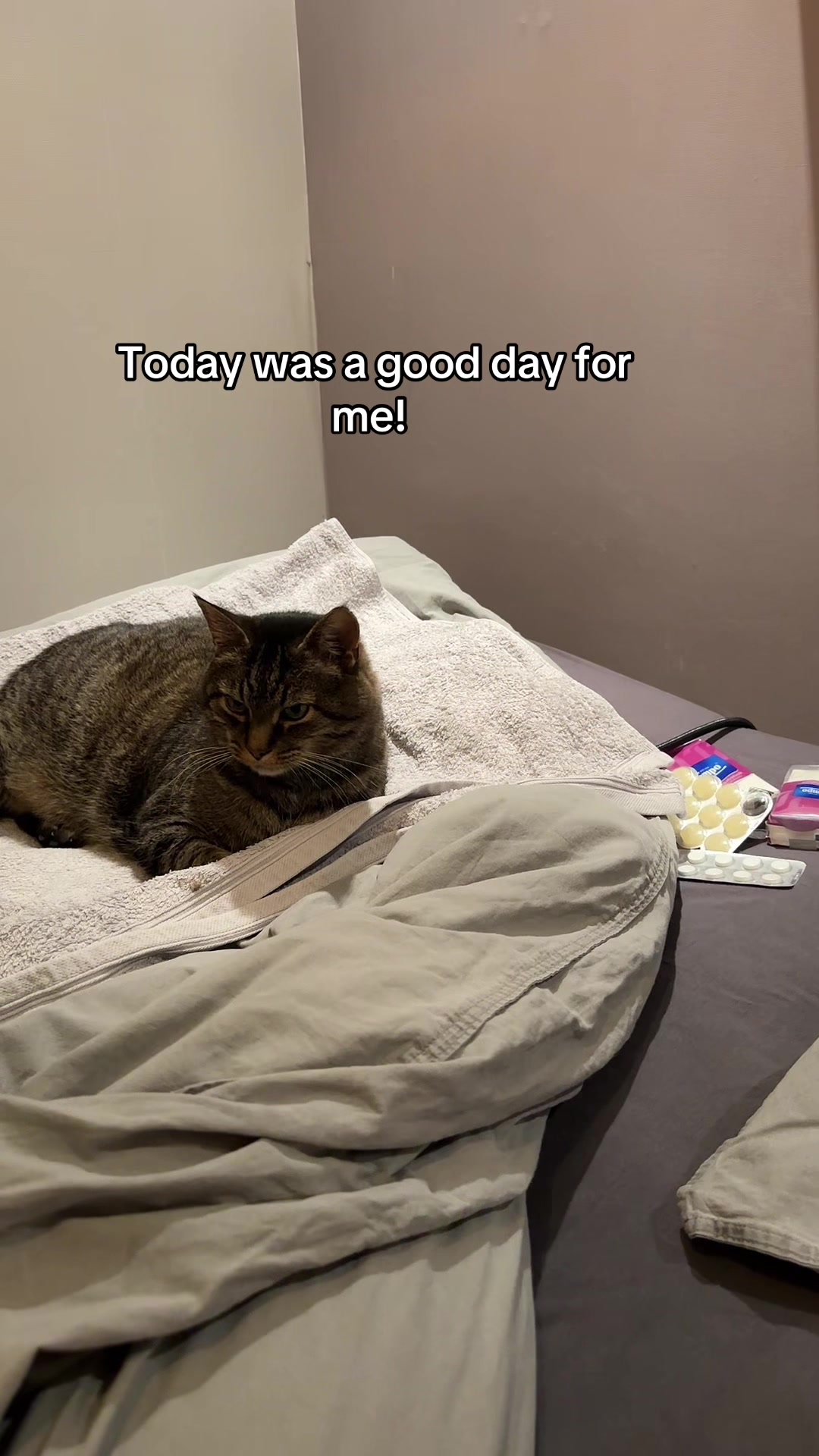 @Joep_the_ rescuecat