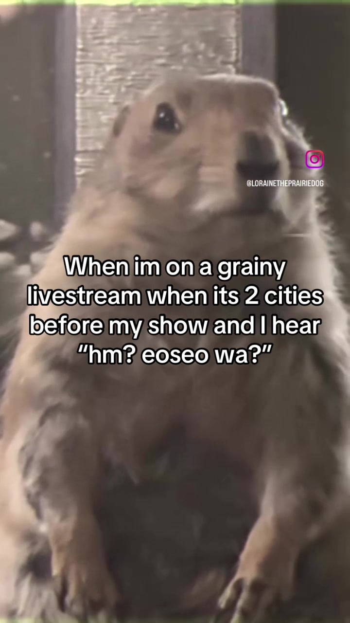 @Brooke ~ 🐨⁷ SEEING BTS