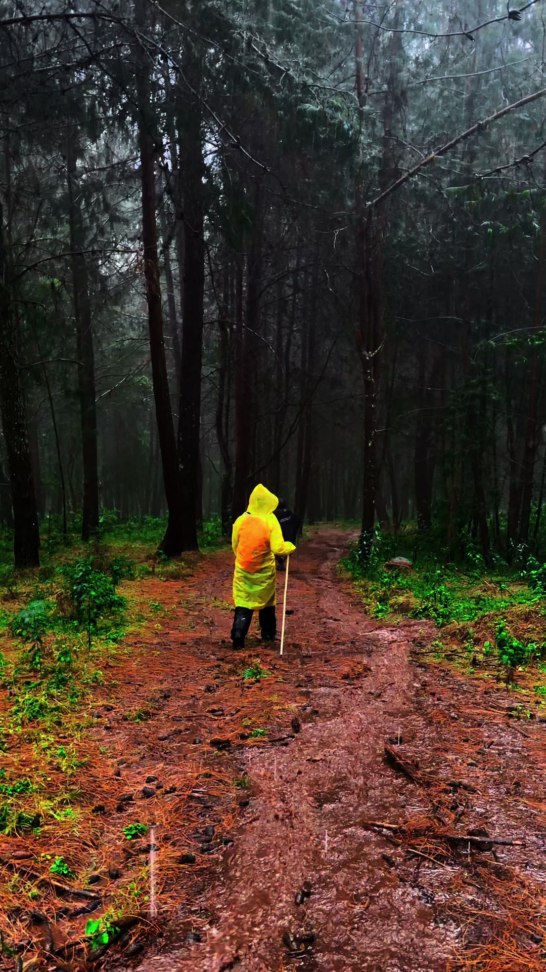 @HikinG_GiantS
