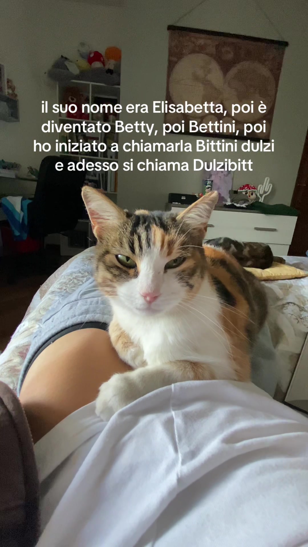 @okkbro😼