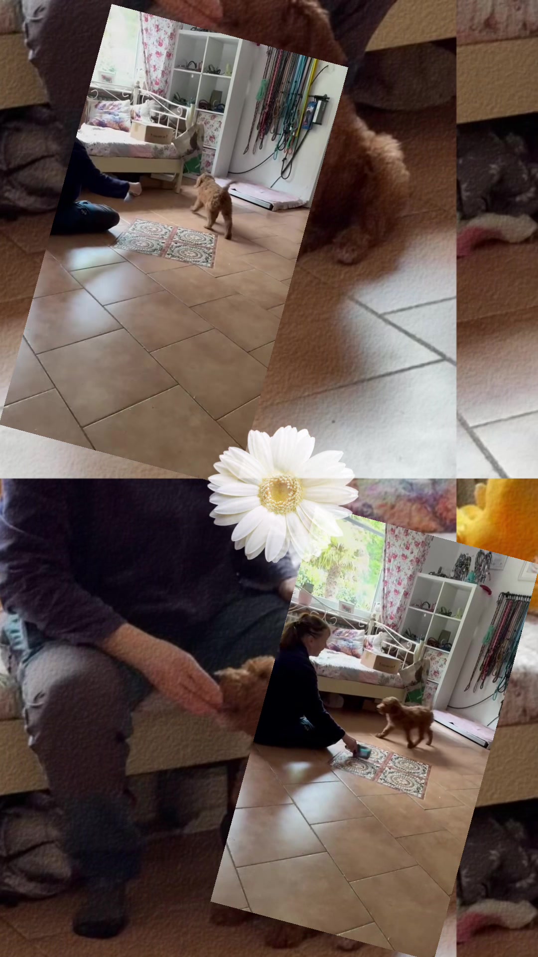 @vomelmrsee