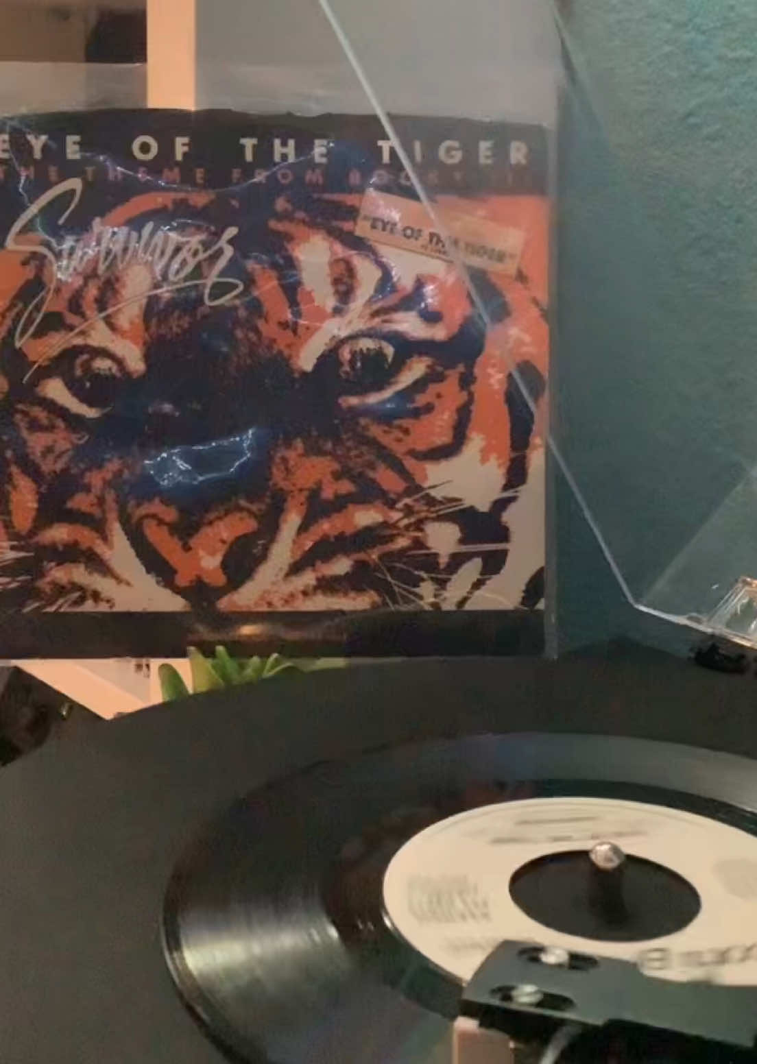 @YES VINYL