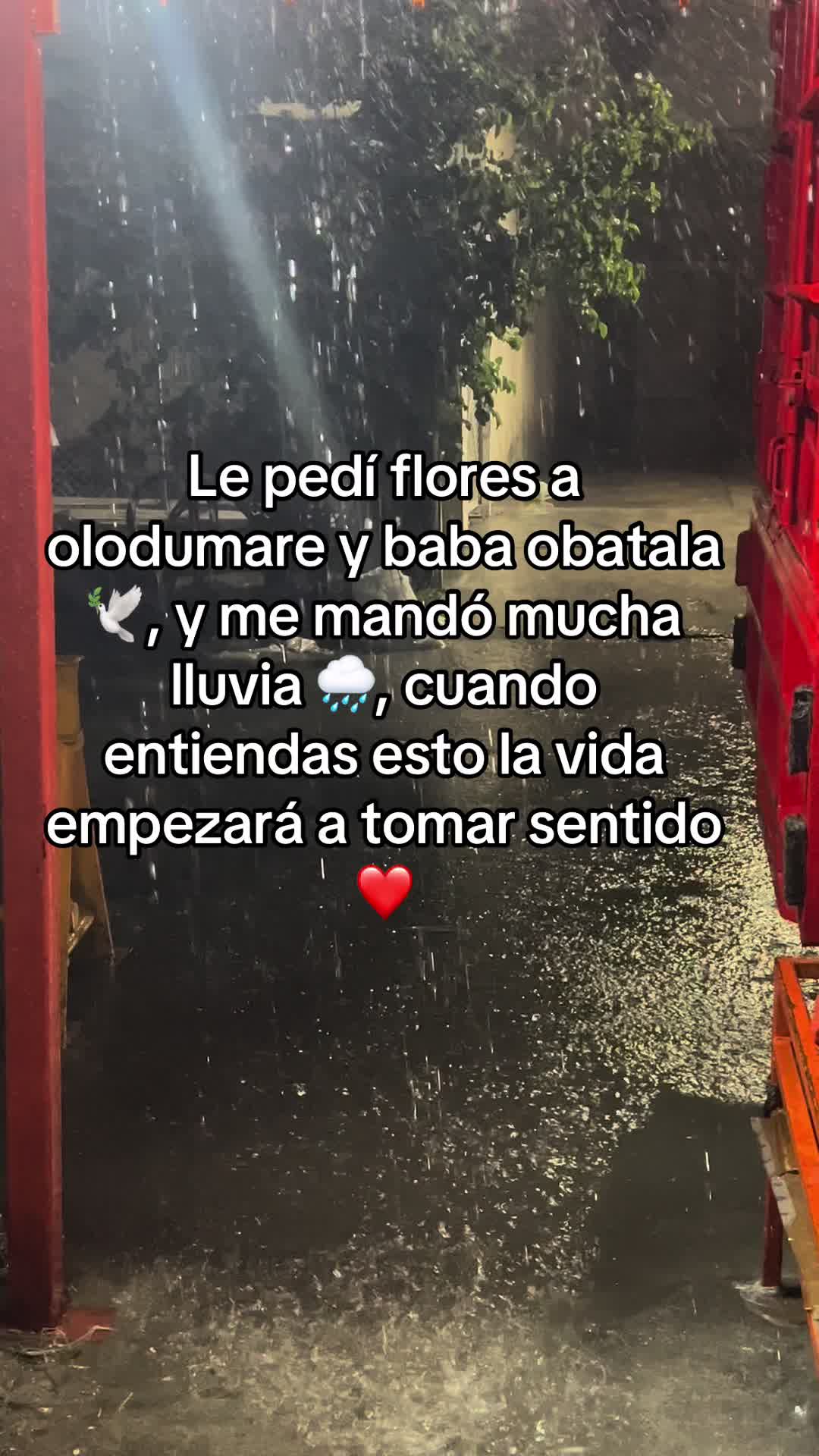 @AlfaNM.