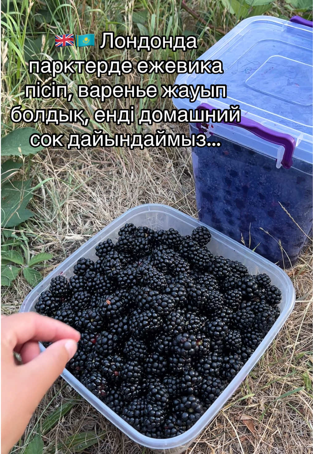 @Balzhan.Sultan🇬🇧🇰🇿🇺🇿